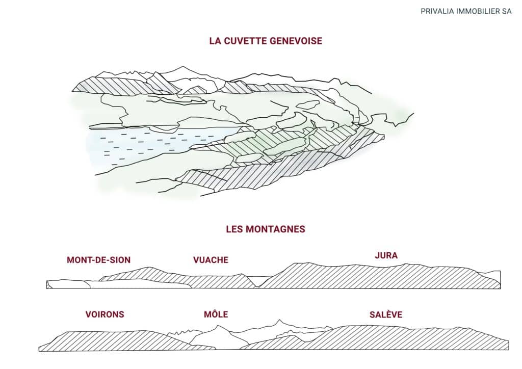 Image Privalia partenaire