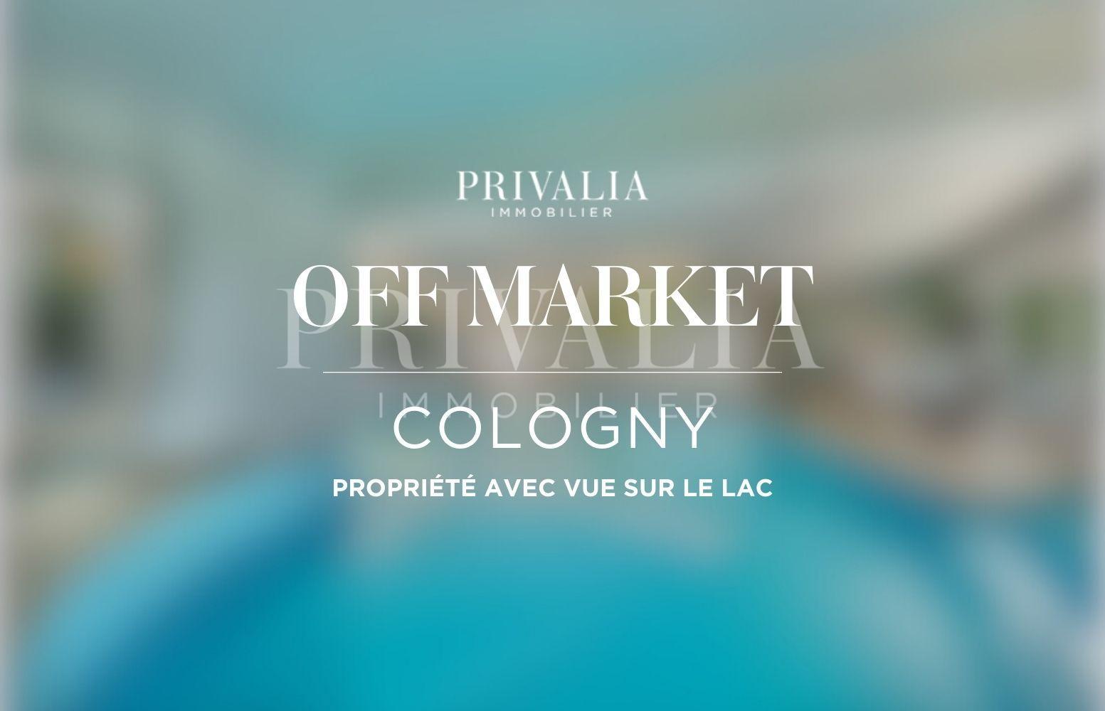 PrivaliaUnique Property with Geneva Lake View