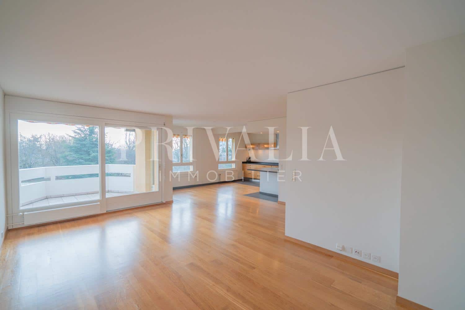 PrivaliaMagnificent flat with 2 balconies and open view